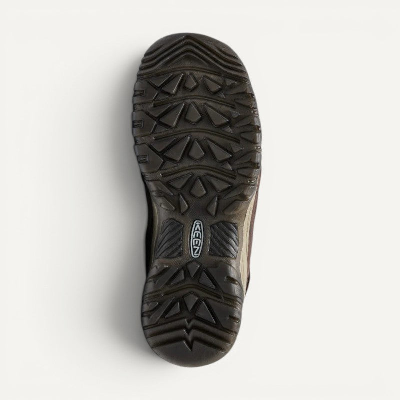 Men's Targhee IV Waterproof Java/Bison