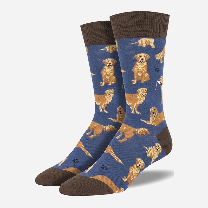 Golden Retrievers Blue