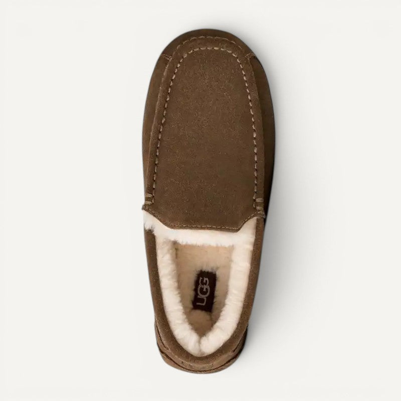Ugg Men's Ascot Light Bronze