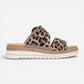 Jocelyn 51 Natur/Leopard