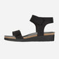 Alba Black