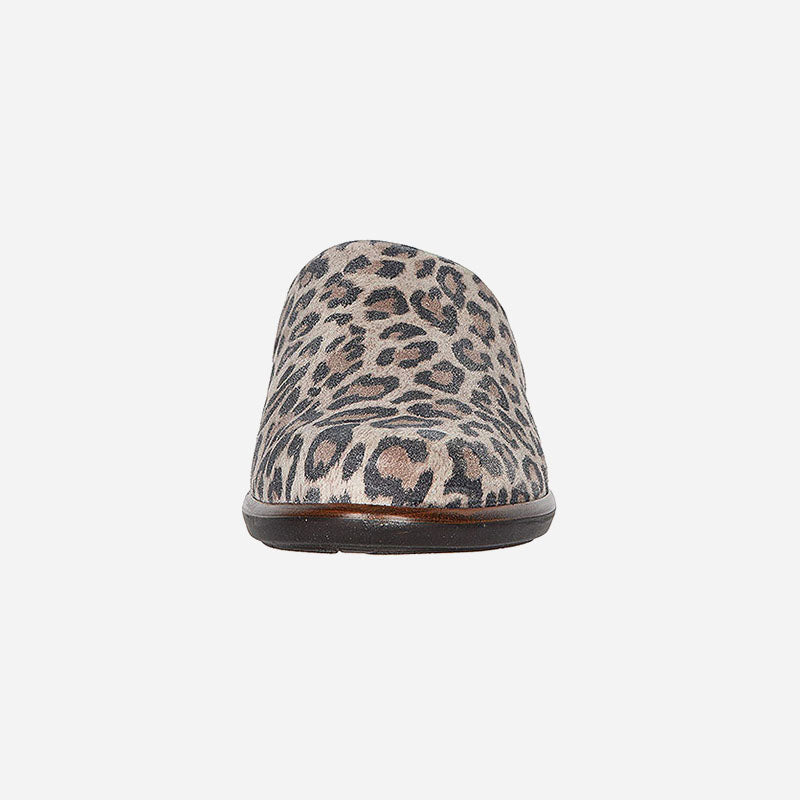 Lodos Cheetah