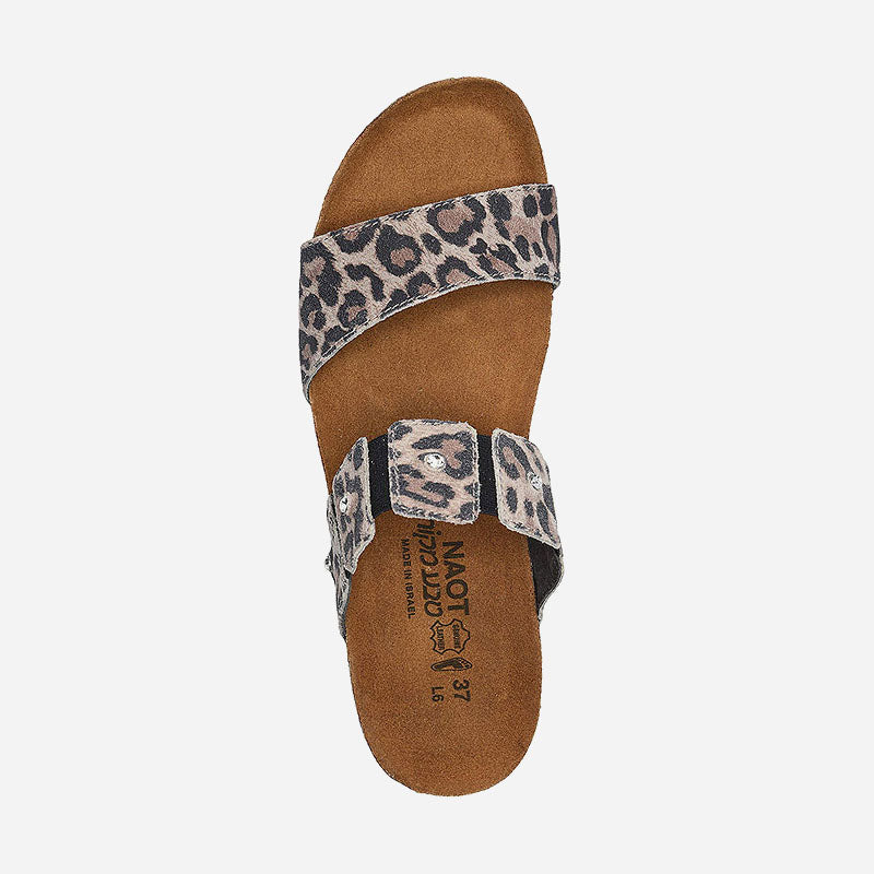 ashley cheetah