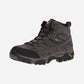 Men's Moab 2 GTX Earth Medium