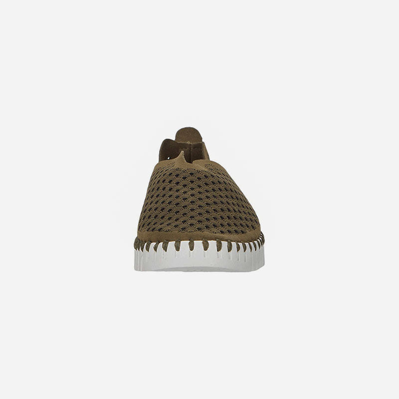 Tulip 139 Deep Olive