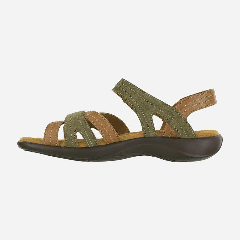 Pier Desert Sage